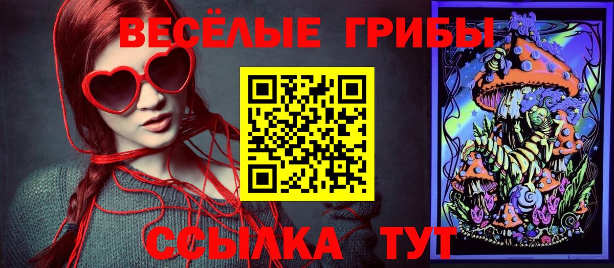Обнинск  Галлюциногенные грибы Psilocybine cubensis  Псилоцибиновые грибы мицелий  даркнет сайт  Вход с VPN 